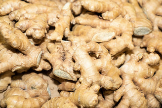 gingembre racine