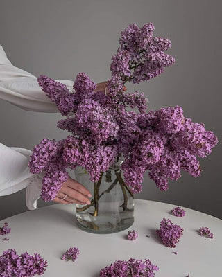 Le printemps en bouteille : osez le kombucha au lilas