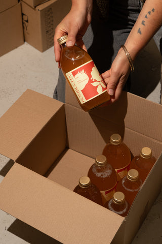 Recettes de kombuchas maison pour tous les goûts. 🫐🥭🍍